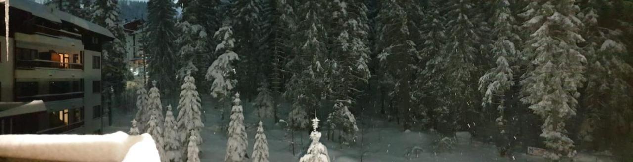 Charming Winter Studio Μπόροβετς Εξωτερικό φωτογραφία